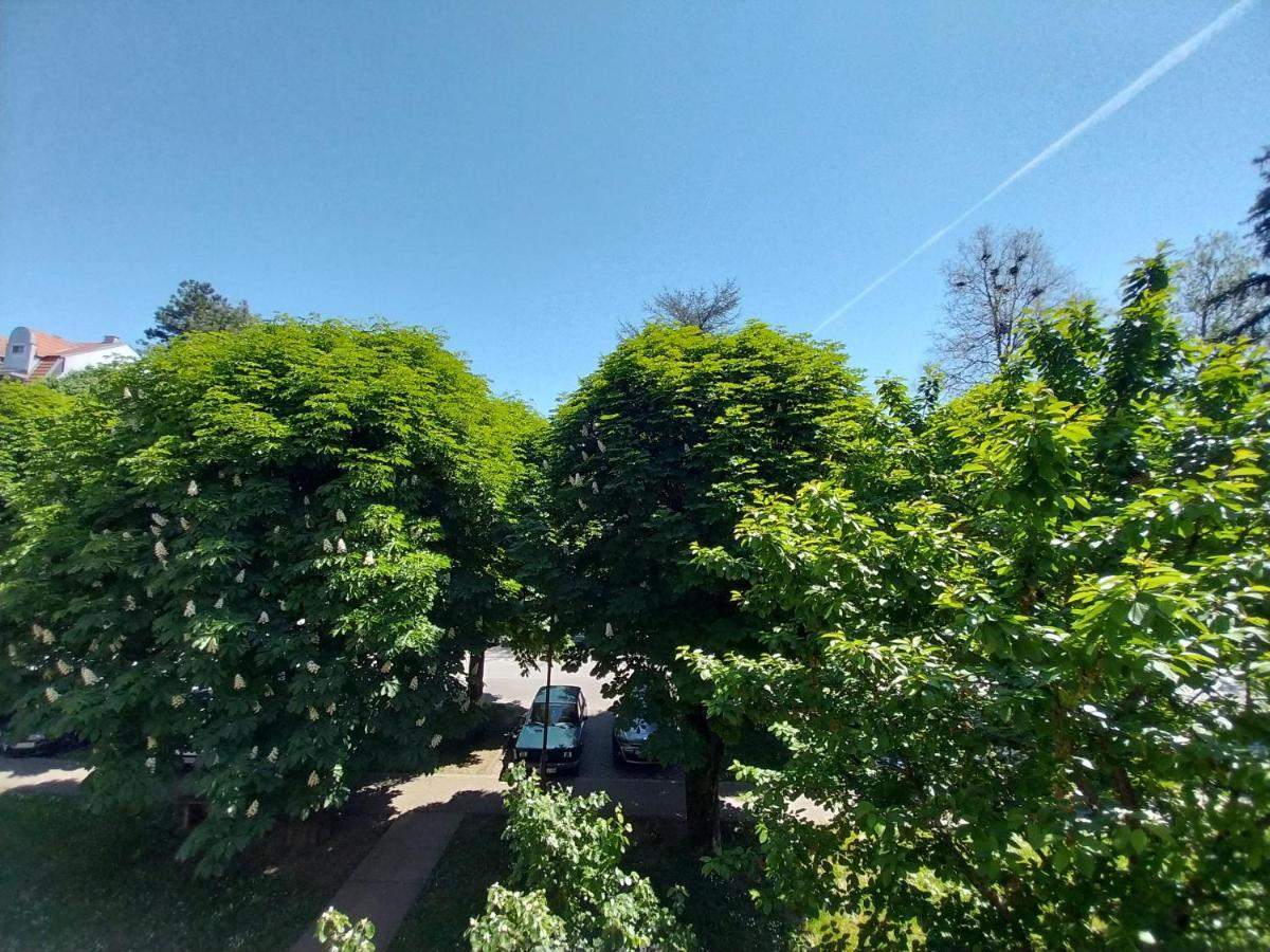 Apartmani Sofronic Loznica 1 Exterior foto